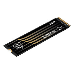 Avis MSI SPATIUM M482 2 To M.2 PCI Express 4.0 NVMe 3D NAND