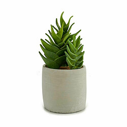 Ibergarden Plante décorative Succulent Plastique 12 x 24 x 12 cm (6 Unités)