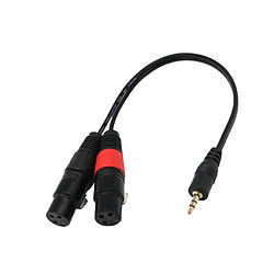 Mono Jack 3.5mm (PC/ Ordinateur Portable) à 2 XLR Femelle (Mélangeur / Haut-parleur) Câble Diviseur