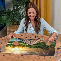 Avis Ravensburger-Puzzle 1000 pieces-Lumiere mystique-Adultes et enfants-Des 14 ans-Puzzle de qualité supérieure-12000305