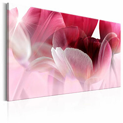 Paris Prix Tableau Imprimé Nature : Pink Tulips 60 x 90 cm