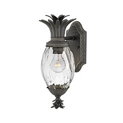 Elstead Lighting Applique murale extérieur Plantation Verre optique transparent,aluminium Musée Noir