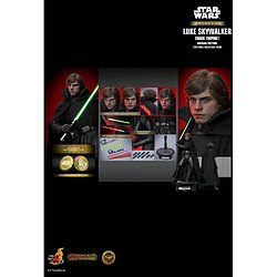 Hot Toys CMS020B - Star Wars : Dark Empire - Luke Skywalker Dark Empire Version