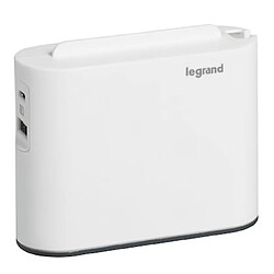 fiche multiprise - latérale - 2 x 2 pôles - 6a - usb a+c - blanc / noir - legrand 049401