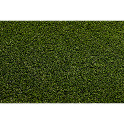 Avis RUGSX GAZON SYNTHÉTIQUE FORESTLAND dimensions standards 300x350 cm