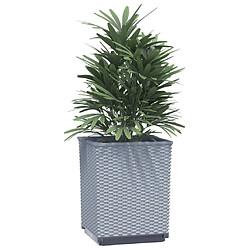 Avis Maison Chic Lot de 2 Jardinières,Bac à fleurs - pot de fleur gris clair 30x30x37 cm polypropylène -GKD93910