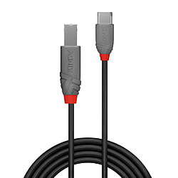 Lindy 36941 USB cable