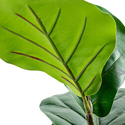 Acheter Plante décorative Alexandra House Living Plastique Ficus 90 cm