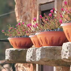 Ac-Deco Pot de fleurs - ALBA - D 25 cm - Terracotta