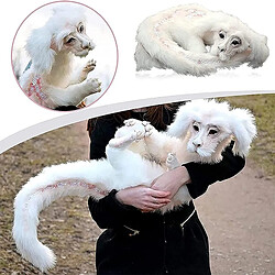 Universal Lit pour chien 50cm Peluche Décoration Renard Peluche Cadeau Décoration maison pour enfants | Maison, Chiens Plumes