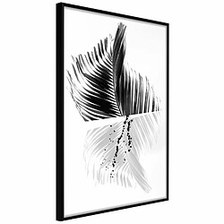 Paris Prix Affiche Murale Encadrée Abstract Feather 20 x 30 cm Noir