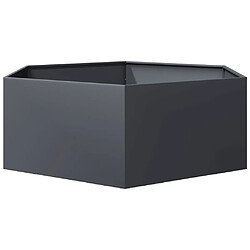 Avis vidaXL Jardinière anthracite hexagone 138x120x45 cm acier