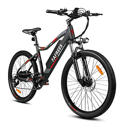 Vélo électrique FAFREES F100 48V 250W 11.6Ah Batterie Vitesse maximale 34km/h Noir