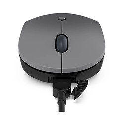 Acheter Lenovo Go mouse