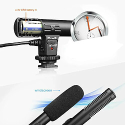 Acheter Justgreenbox Microphone d'enregistrement pour caméscope stéréo - 4001260265180