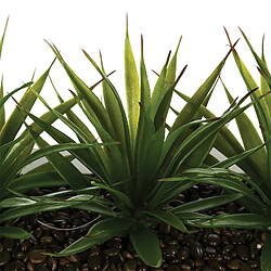 Avis Atmosphera, Createur D'Interieur Centre de table 3 Aloe vera artificielles - H. 17 cm