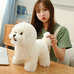 Universal Simulacro mignon bichon fritz peluche