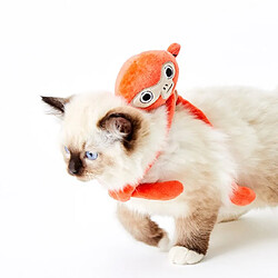 Universal Jouets pour animaux de compagnie, jouets pour chats, fournitures pour chats, jouets pour chats...