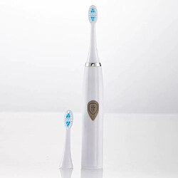 Universal Brosse à dents électrique 3 en 1 étanche mise à niveau son intelligent remplaçable non rechargeable adulte brosse à dents électrique à fourrure souple | Brosse à dents électrique