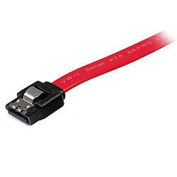 StarTech.com 24"" Latching SATA Cable - Straight M/M câble SATA 0,61 m Rouge