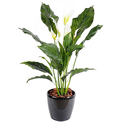 Pegane Plante artificielle haute gamme Spécial extérieur / SPATHIPHYLLUM Artificiel - Dim : 80 x 50 cm