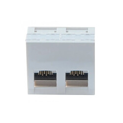 Dexlan Plastron 45X45 incline 30° 2 ports RJ45 cat 6 stp