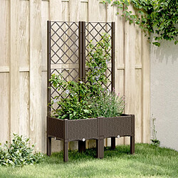 Maison Chic Jardinière,Bac à fleurs avec treillis - pot de fleur marron 80x40x142 cm PP -GKD93869