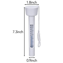 Acheter thermomètre de piscine