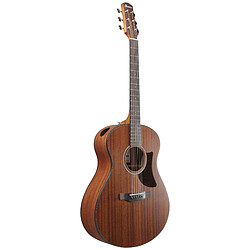 Avis AAM54 OPN Sapele Open Pore Natural Ibanez