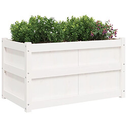 Avis vidaXL Jardinières 2 pcs blanc bois de pin massif