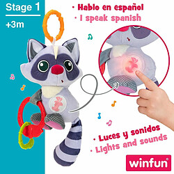 Avis Peluche Hochet Winfun Raton laveur 14,5 x 20 x 9,5 cm (6 Unités)