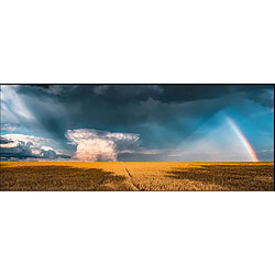 Ravensburger Puzzle Adulte panoramique - Arc en ciel mystique - Nature edition 1000 p