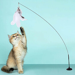 Acheter Jouets pour chats interactifs