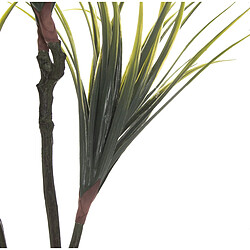 Acheter Plante décorative Alexandra House Living Plastique Dracaena 15 x 27 x 121 cm