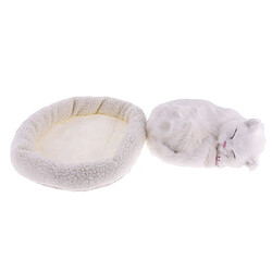 animal de respiration en peluche jouet enfants cadeau décor à la maison ornement persan chaton