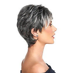 Avis 10" Perruque Femmes Courte à Couches Couleur Gris et Noir en Cheveux Synthétique pour Halloween et Cosplay