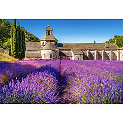 Lavender Field in Provence,France,Puzzle 1000 Teile- Castorland