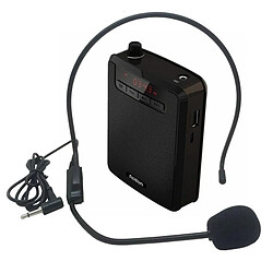 Yonis Microphone Amplificateur Portable FM MP3