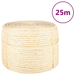 vidaXL Corde 100 % sisal 10 mm 25 m