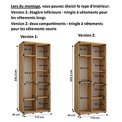 Abiks Meble Armoire à portes coulissantes Davos 2 H235.2 x L110 x P45 2 portes coulissante (Chêne artisan/Chêne artisan/Noir) pas cher