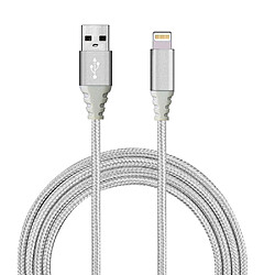 Platyne Cable Usb Vers Lightning 1 Metre