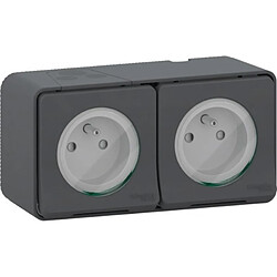 Avis prise 2 p+t - double - gris - saillie - schneider electric mur36028