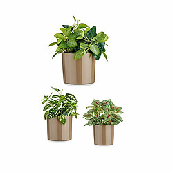 Ibergarden Set de pots Ø 14 cm Ø 22 cm Ø 17 cm Cylindre 3 Pièces Taupe