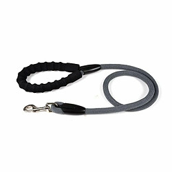 Paris Prix Laisse pour Chien Corde 120cm Anthracite