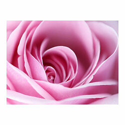 Paris Prix Papier Peint Fleur Rose Rose III 154 x 200 cm