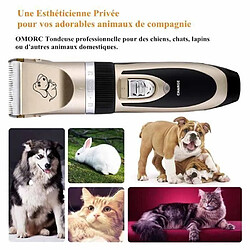 Avis Tondeuse Chien Professionnelle MARQUEUNE Charge Rapide Tondeuse Chat Persan Silencieuse Tondeuse Animaux avec 4 Peignes Or