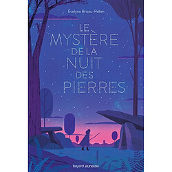 Le mystère de la nuit des pierres - Occasion