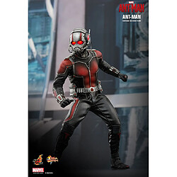 Avis Hot Toys MMS308 - Marvel Comics - Ant-Man - Ant-Man