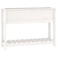 vidaXL Jardinière et étagère Blanc 111,5x34,5x81 cm Bois massif de pin