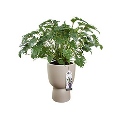 Pot de fleurs rond en plastique extérieur/intérieur Ø 35 cm Elho Pure Coupe greige